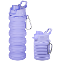 Quest Hydro-Pop Bottle 500ml - Purple