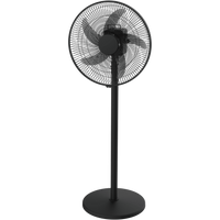 Elektra Rechargeable Stand Fan