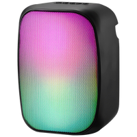 Pro Bass BlastWave Series BT Mini Speaker - Black