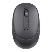 VolkanoX Crater Bluetooth Wireless Mouse - Graphite