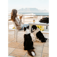 LocknLock Pet Water Bottle & Bowl 1lt ( Order in Qty of 4)