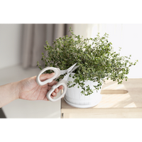 Kitchen Inspire Kitchen Scissors Small ( Order in Qty of 6)