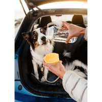 LocknLock Pet Water Bottle & Bowl 1lt ( Order in Qty of 4)