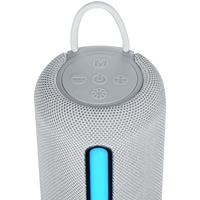 Amplify Swift Series Bluetooth Speaker - Grey