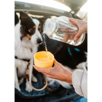 LocknLock Pet Water Bottle & Bowl 1lt ( Order in Qty of 4)