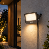Ellies Quasar Series 150W AC Flood Light  with 3CCT -BK