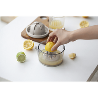 Kitchen Inspire Dual Juicer ( Order in Qty of 6)