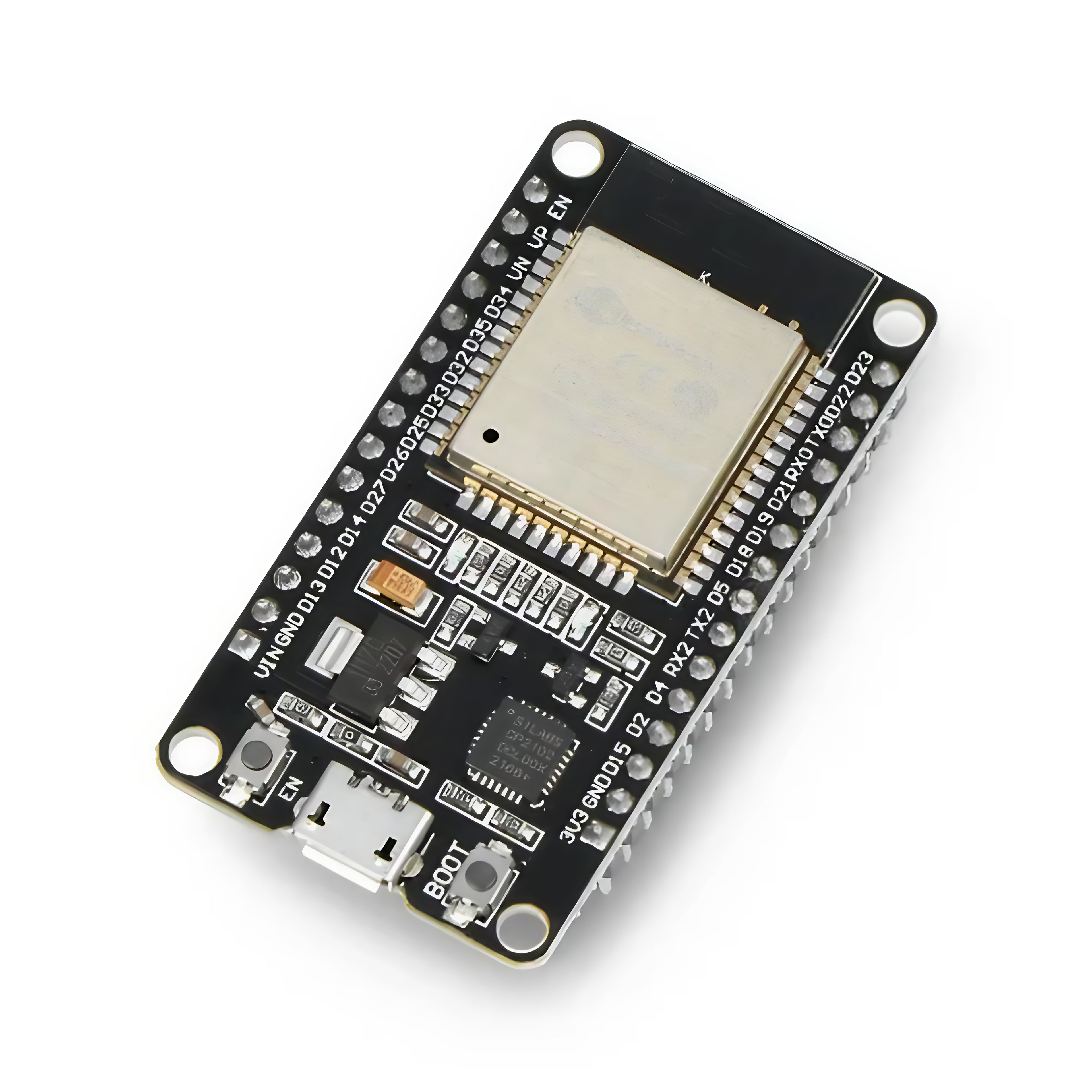 ESP32 Dev Module (TYPE C)