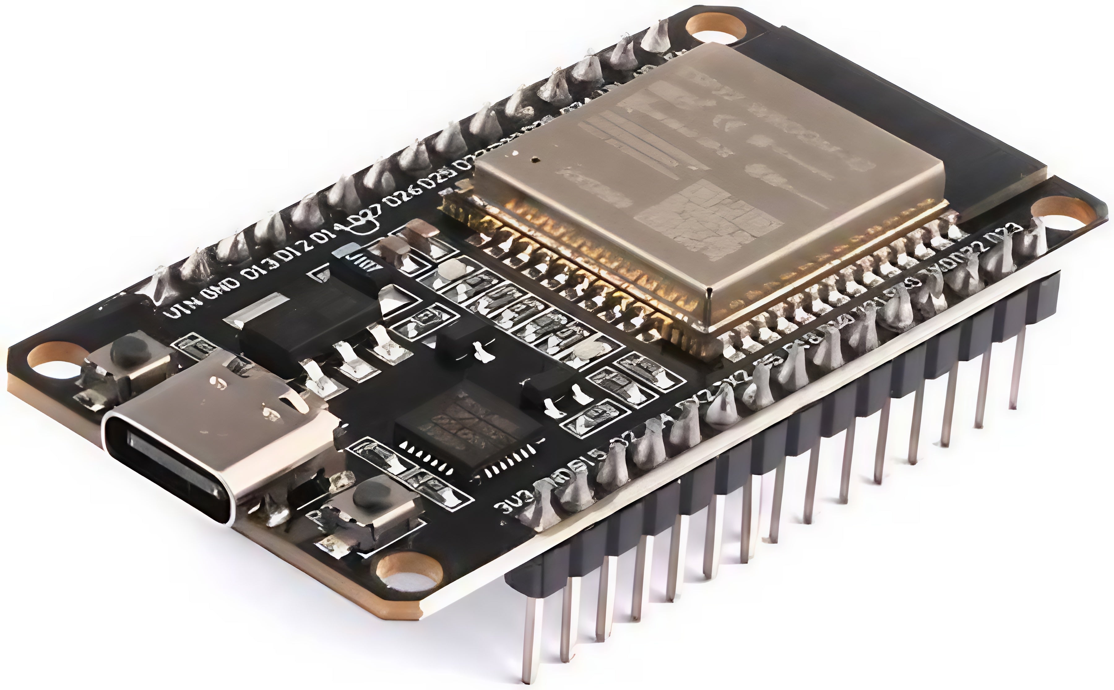 ESP32 Dev Module (TYPE C)